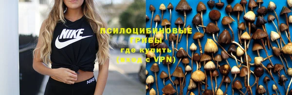 эйфоретик Алзамай