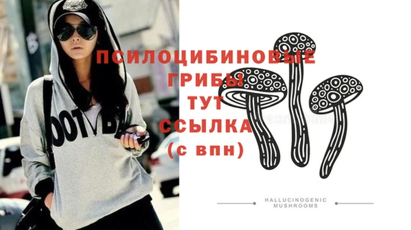 эйфоретик Алзамай