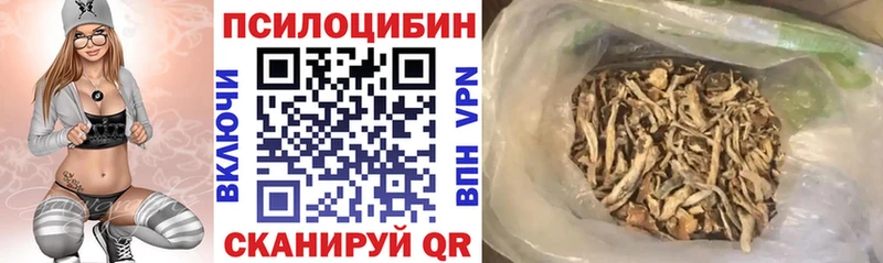 Галлюциногенные грибы мицелий  наркотики  Анжеро-Судженск 