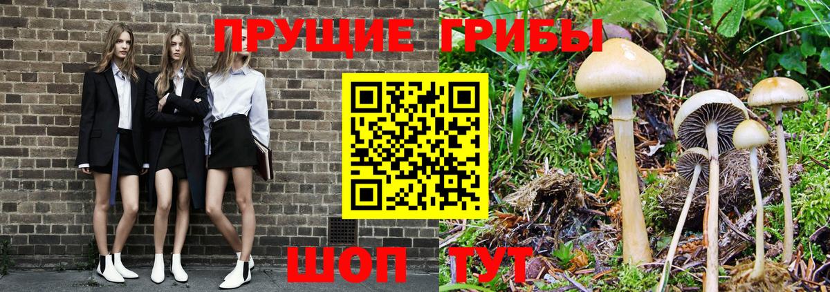 Галлюциногенные грибы ЛСД Анжеро-Судженск