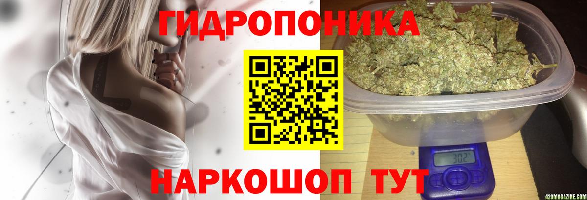 Каннабис индика  Конопля ГИДРОПОН  Анжеро-Судженск  Бошки марихуана планчик  Бошки Шишки LSD WEED  Вход с VPN 